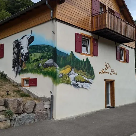 Nyaraló La Maison Peter, Proche De La Nature, 3 Etoiles Wasserbourg